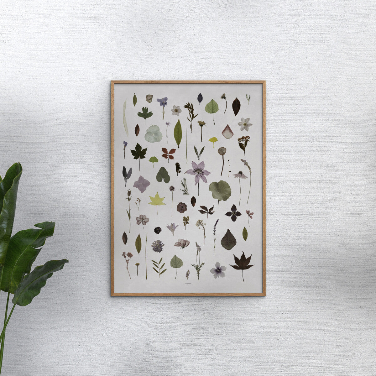 Poster & Frame Bloom Poster by Anne Mark Møller. 50 × 70 cm Scandinavian art print with abstract floral design. Rolled, unframed print.