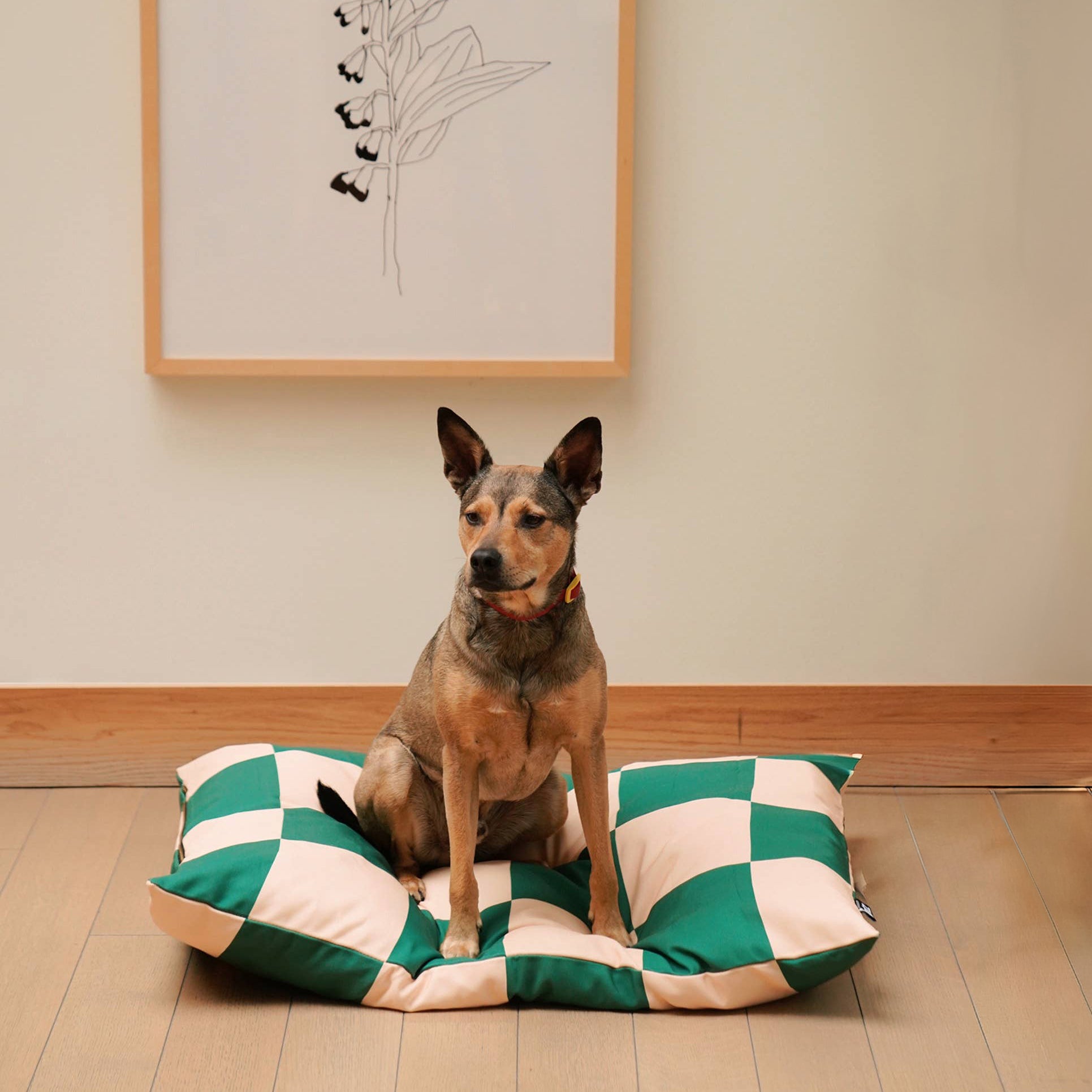 Dog sitting on eco-friendly modern dog bed in checkered pattern, made from Better Cotton™ canvas with recycled PET fill.