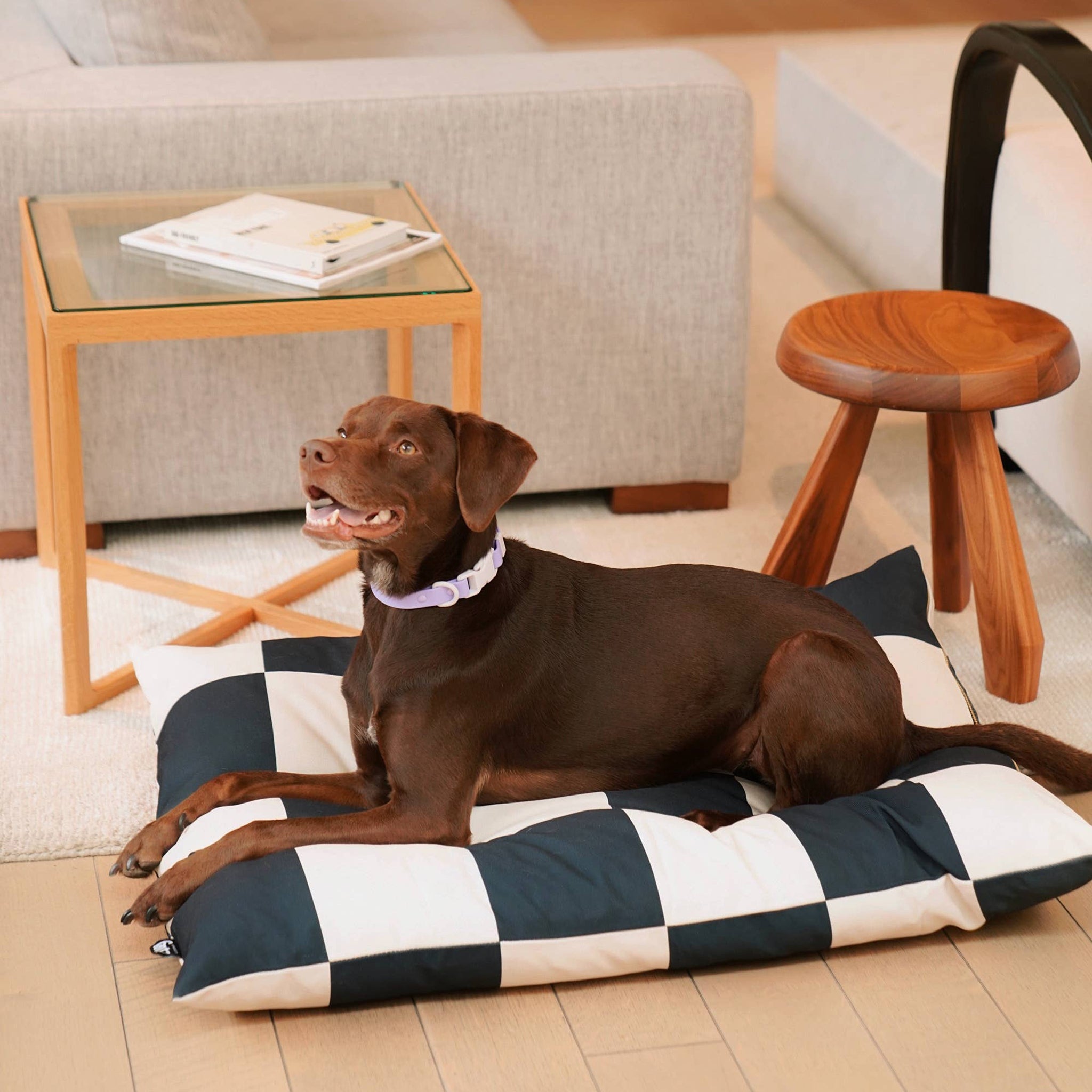 Dog lying on an eco-friendly modern dog bed in checkered pattern, made from Better Cotton™ canvas with recycled PET fill. in a living room.