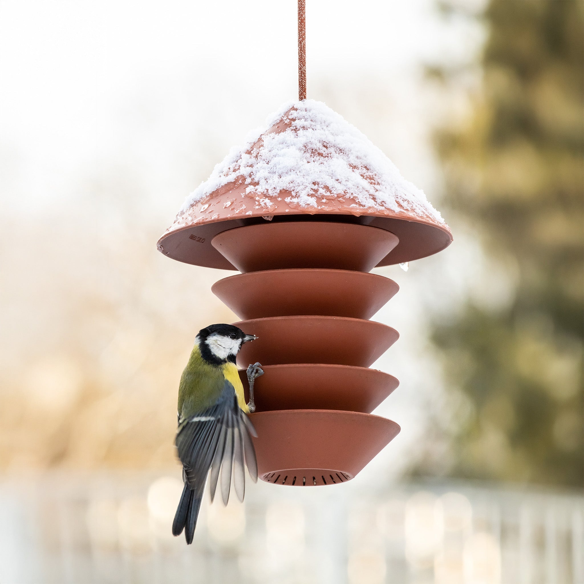 Bird Silo - Hei-Hey