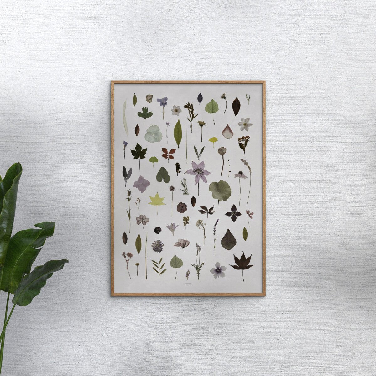 Bloom Print - Hei-Hey