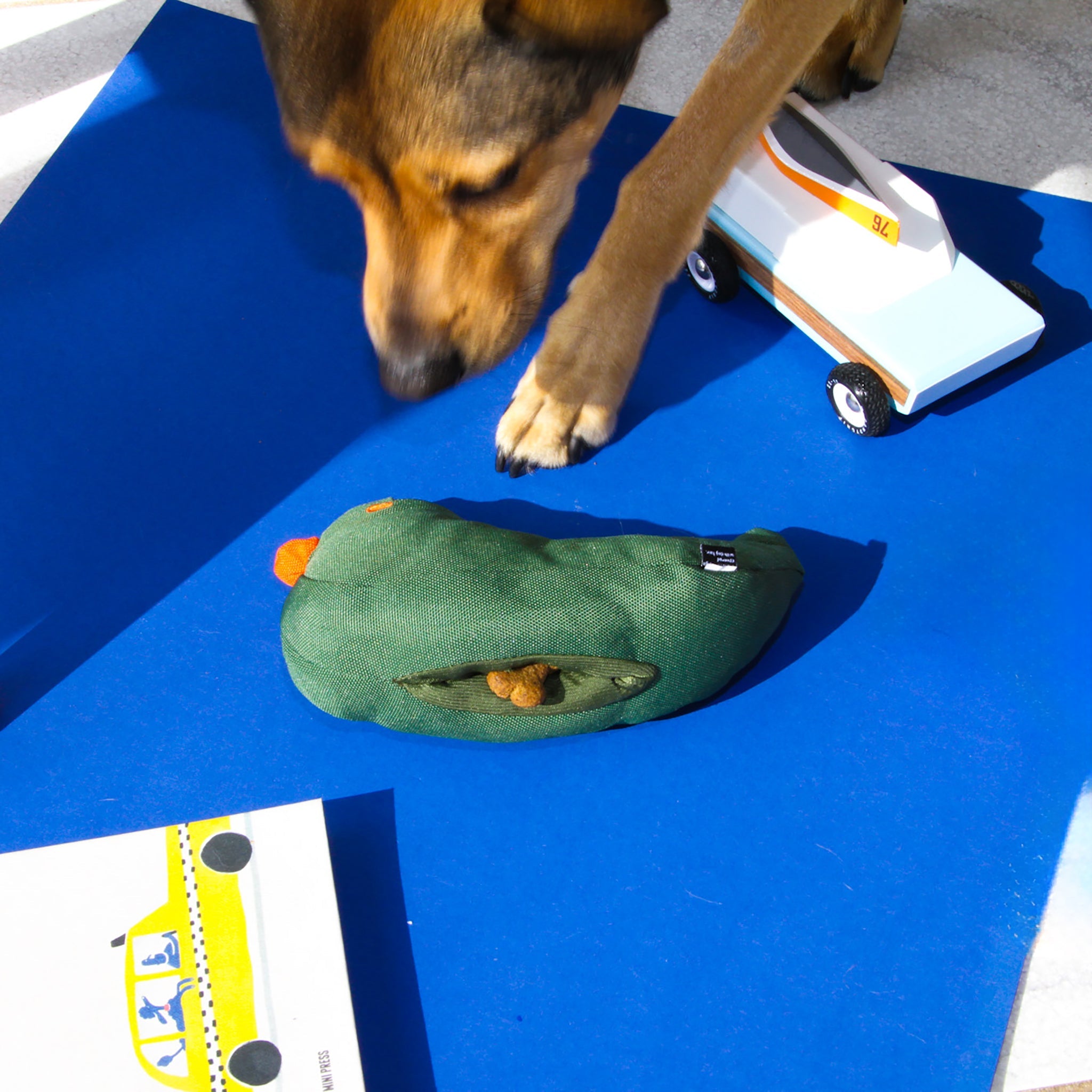 Fritz Bird Dog Toy - Hei-Hey