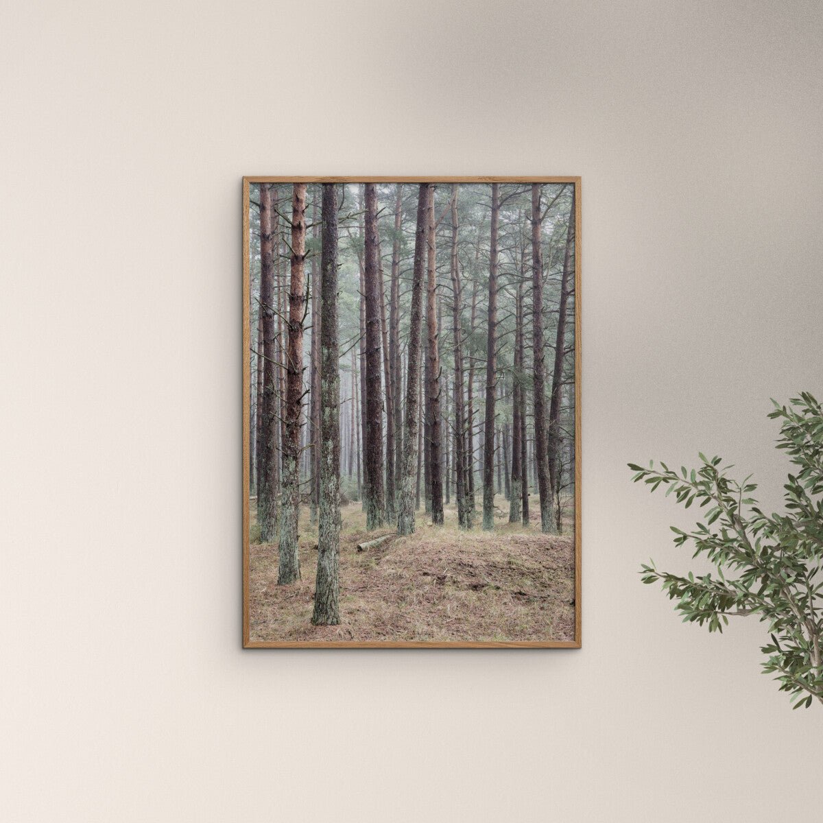 Fyrreskov Print - Hei-Hey