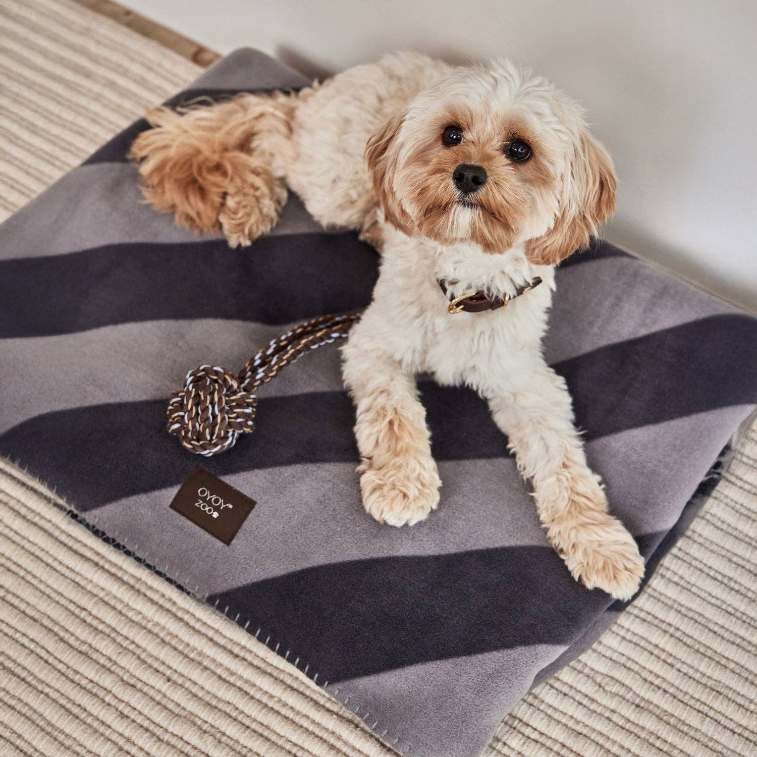 Kaya Dog Blanket - Hei-Hey