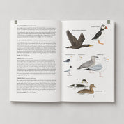 Maine's Favorite Birds - Hei-Hey