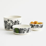Siirtolapuutarha Serveware