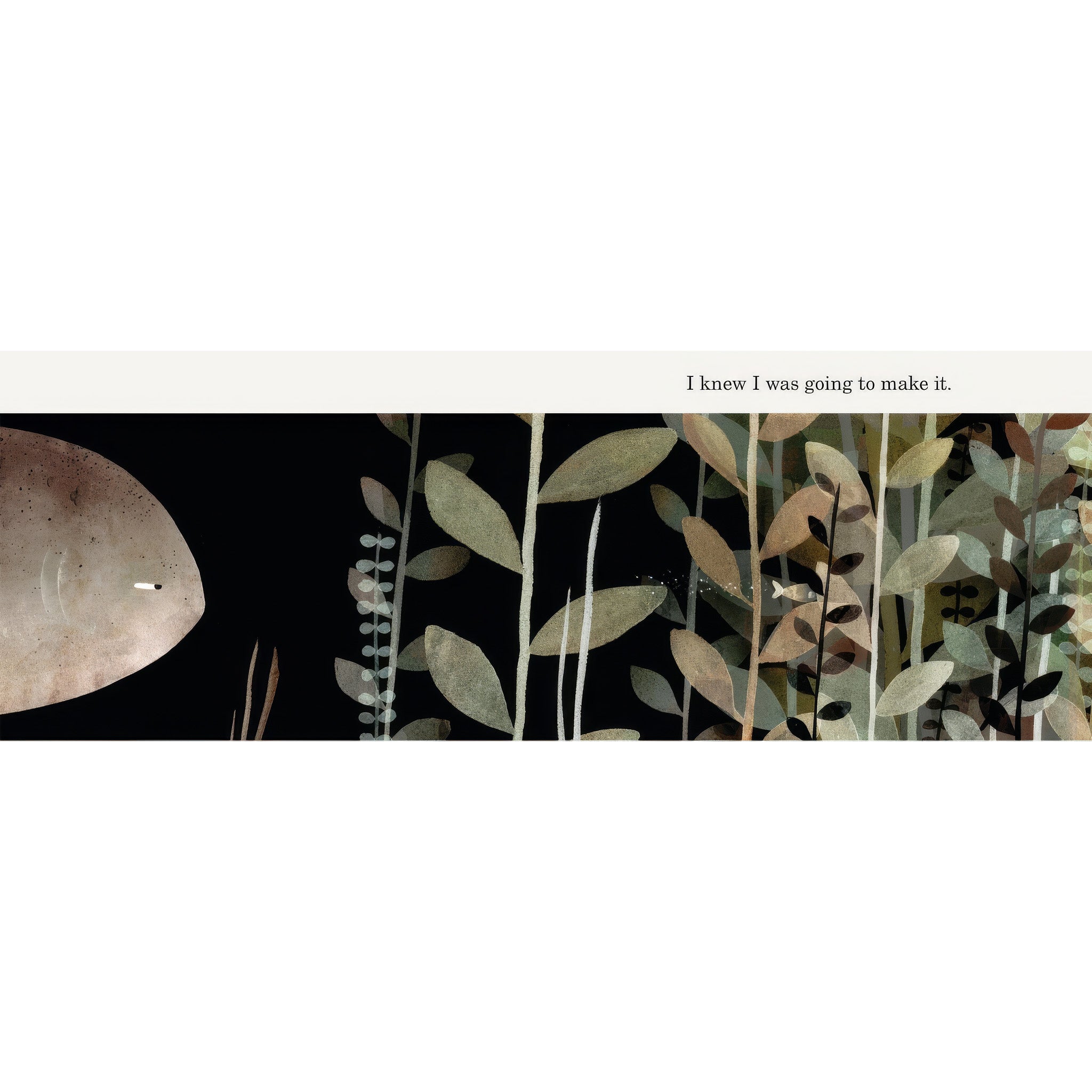 This Is Not My Hat