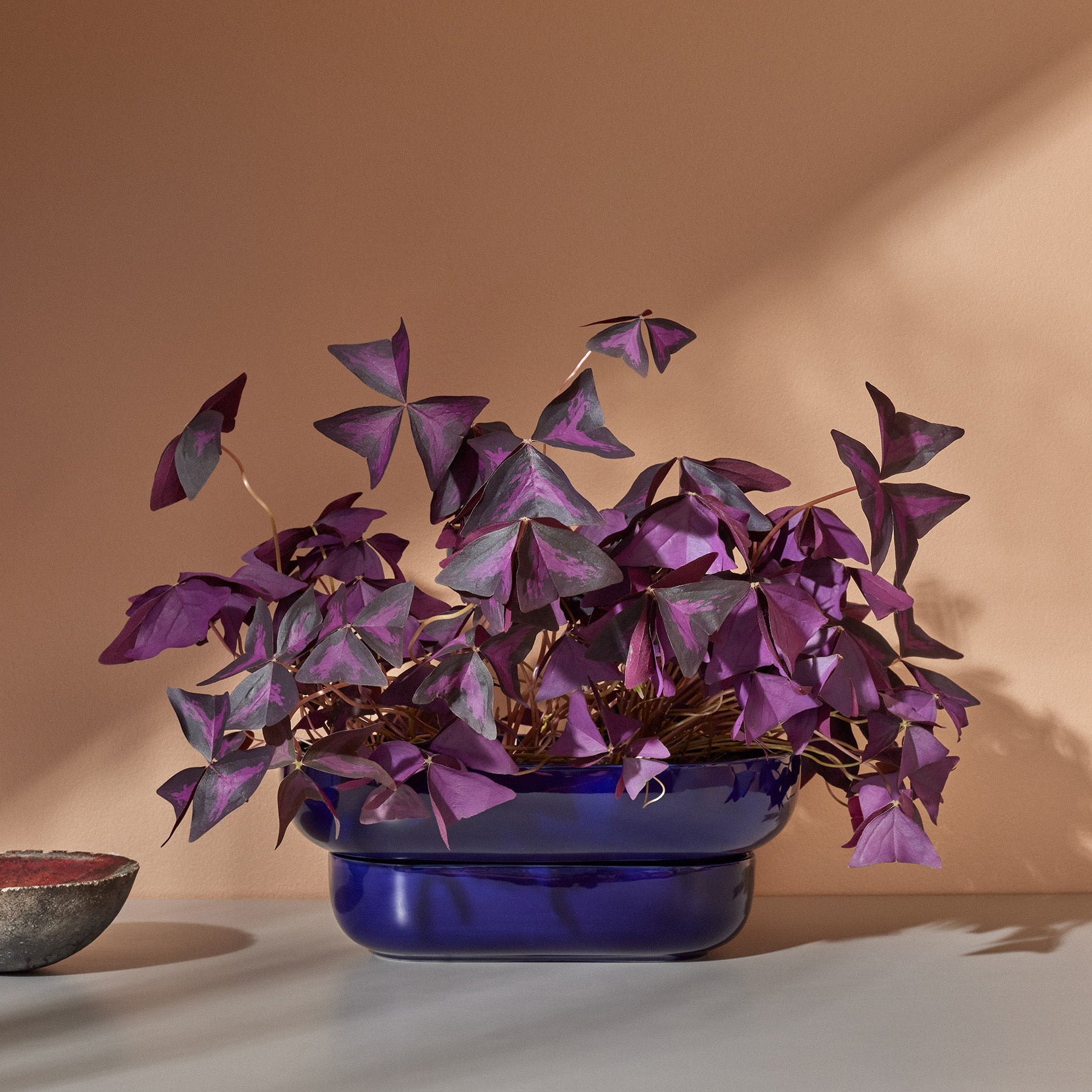 Kukka Flowerpot