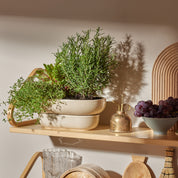 Kukka Flowerpot