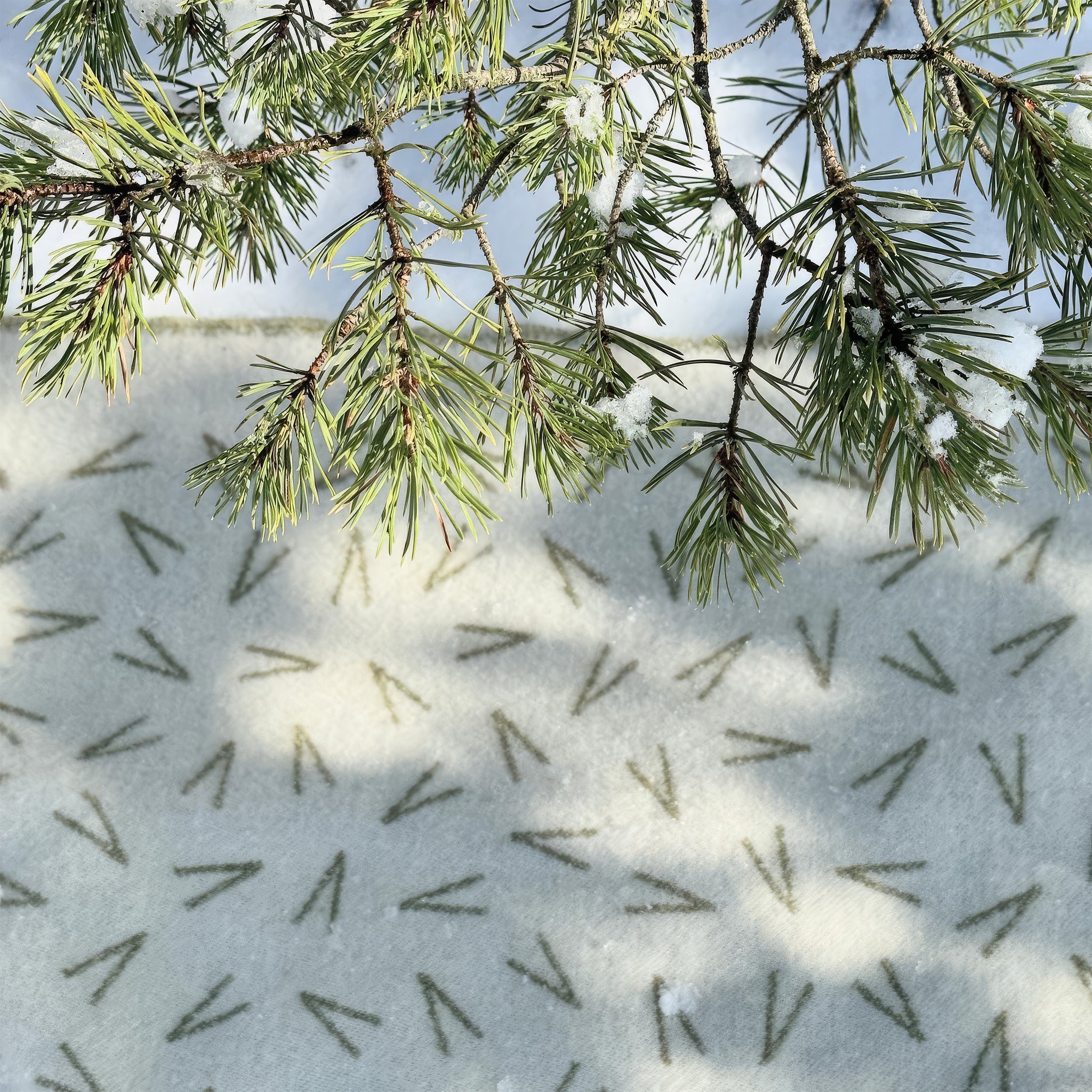 Pine Needles Throw