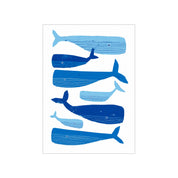 Pod of Whales Card - Hei-Hey