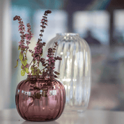 Primula Glass Vase - Hei-Hey
