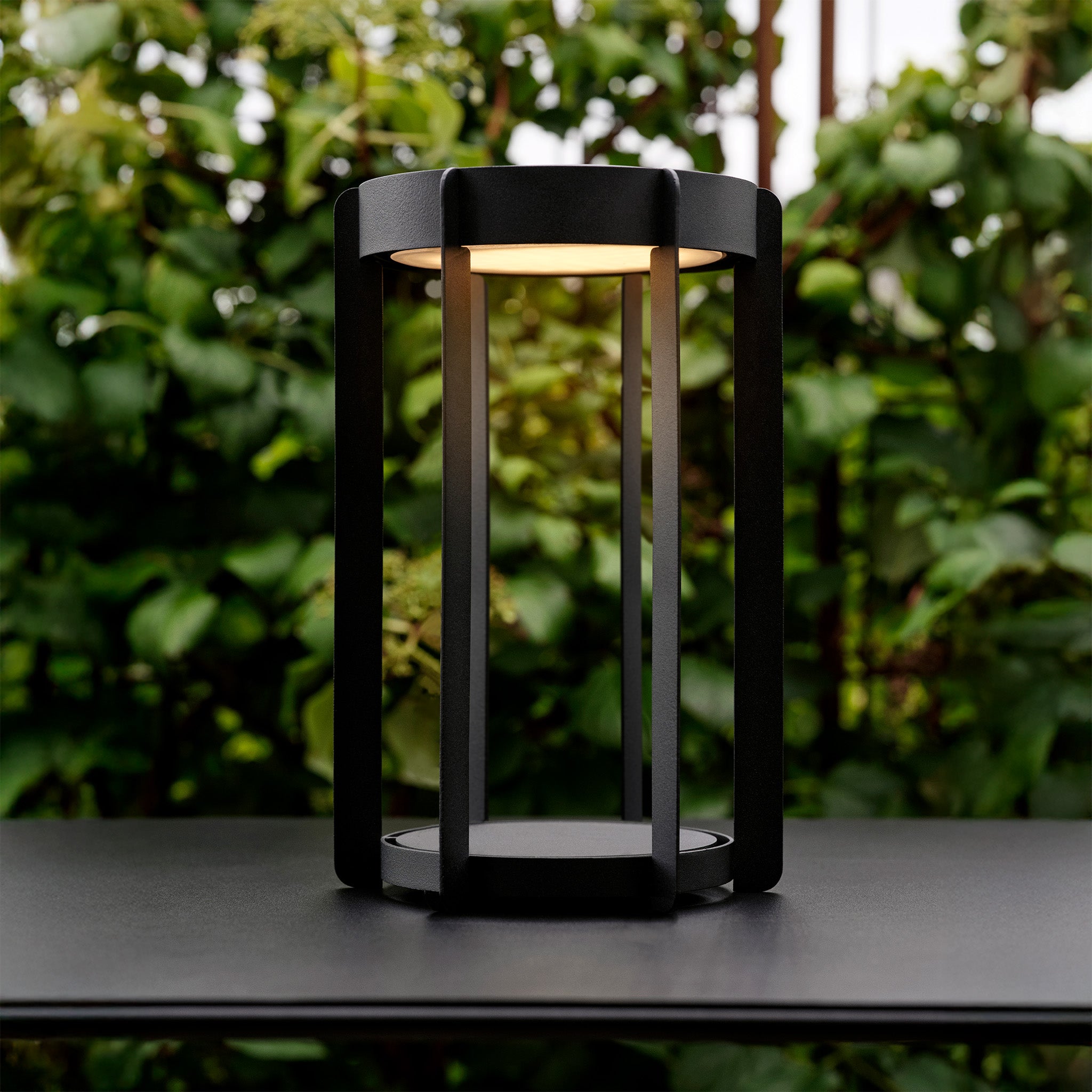 Firefly LED Lantern
